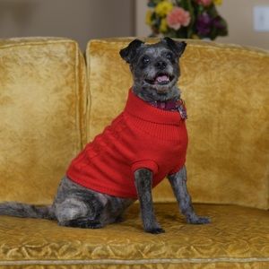 Meet your Posher, Susan